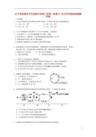 辽宁省海城市牛庄高级中学高三生物一轮复习 光合作用基础训练题学案