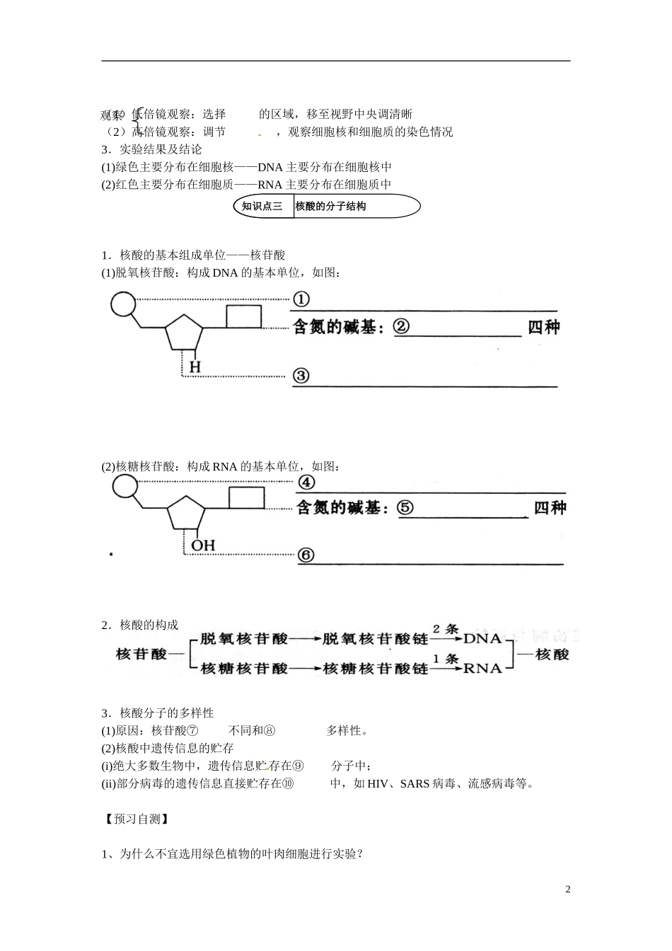 四川省成都七中高一生物 遗传信息的携带者-核酸》学案 新人教版_第2页