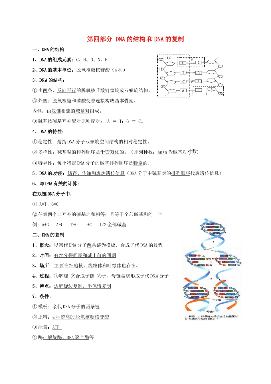 江苏省徐州市高考生物总复习 专题四 生物的遗传 第四部分 DNA的结构和DNA复制学案-人教版高三全册生物学案_第1页