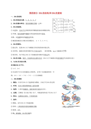 江苏省徐州市高考生物总复习 专题四 生物的遗传 第四部分 DNA的结构和DNA复制学案-人教版高三全册生物学案