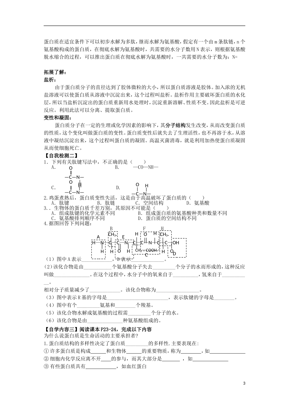 山东省文登市教育教学研究培训中心高中生物 第2章 第2节生命活动的主要承担者 蛋白质学案 新人教版必修2_第3页