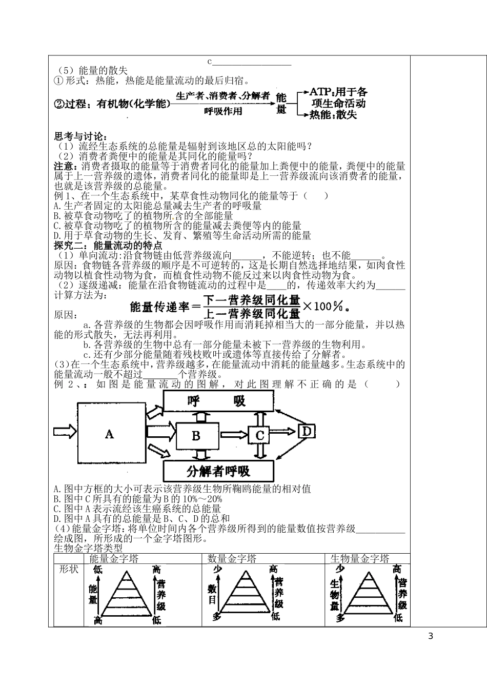 山东省泰安市肥城市第三中学高中生物 5.2 生态系统的能量流动（1）学案 新人教版必修2_第3页