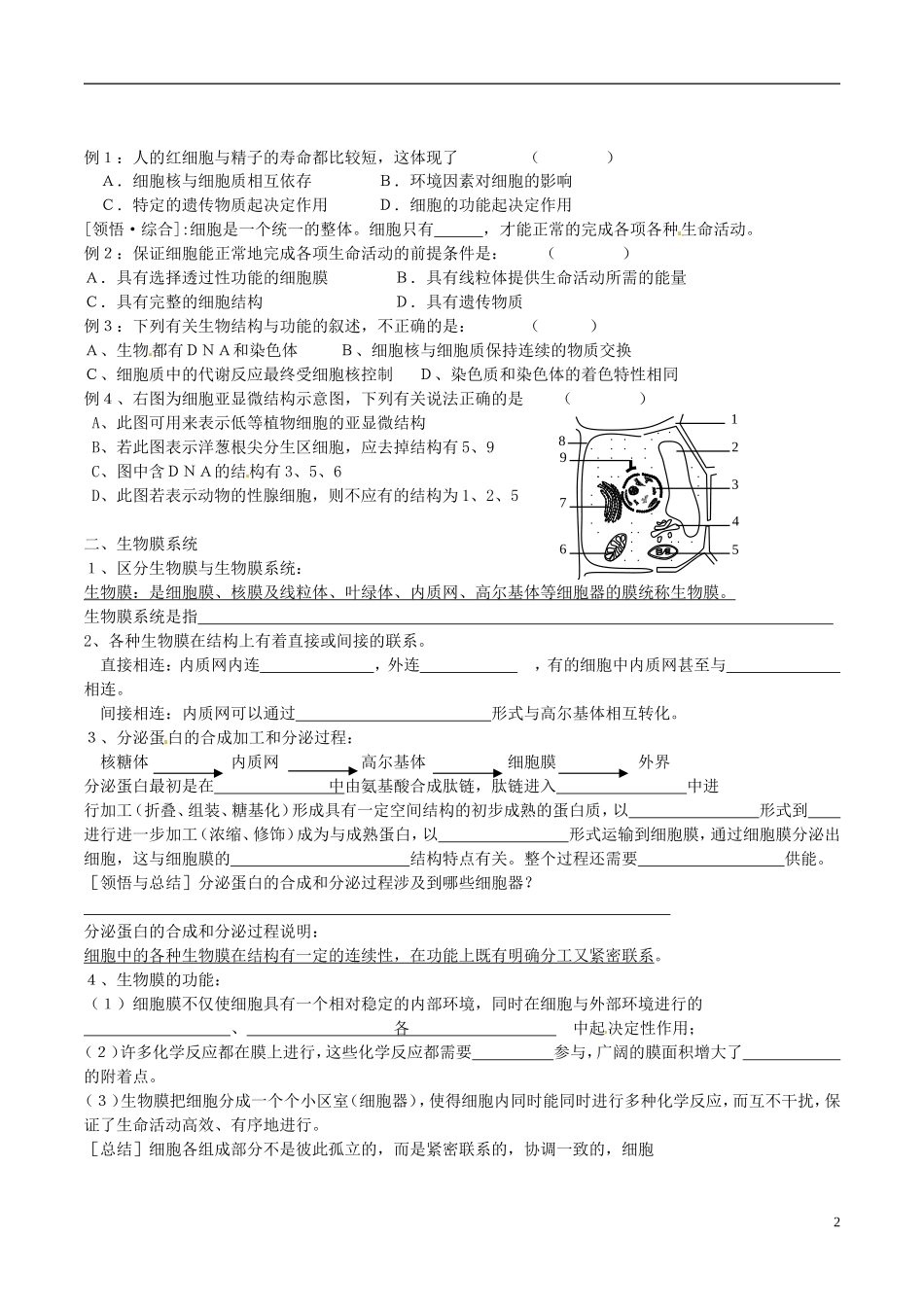 江苏省徐州市王杰中学高中生物 3-2-3细胞核 和生物膜系统导学案 苏教版必修1_第2页