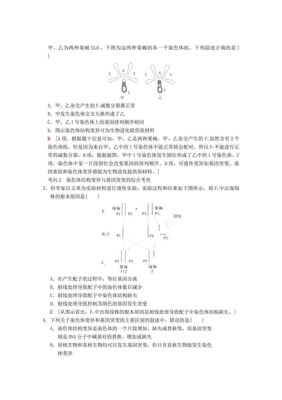 山东省高考生物 第7单元 生物的变异、育种和进化（2）染色体变异和人类遗传病导学案（含解析）新人教版必修2-新人教版高三必修2生物学案_第3页