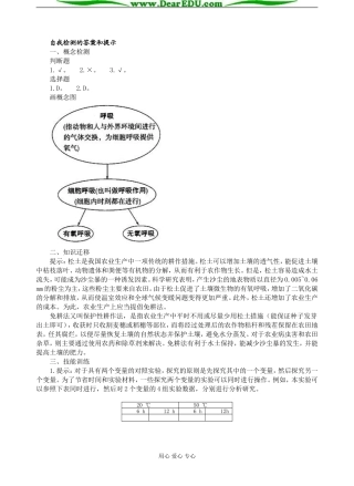 自我检测的答案和提示