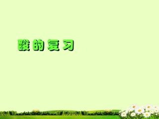 九年级化学下册 8.1 重要的酸课件 粤教版