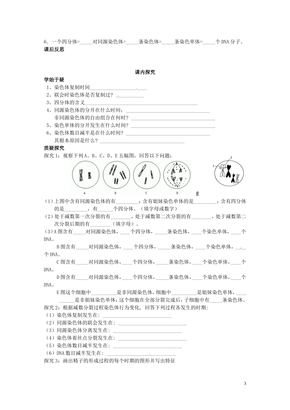 四川省岳池县第一中学高中生物 2.1 减数分裂（精子的形成过程）（第1课时）学案 新人教版必修2_第3页
