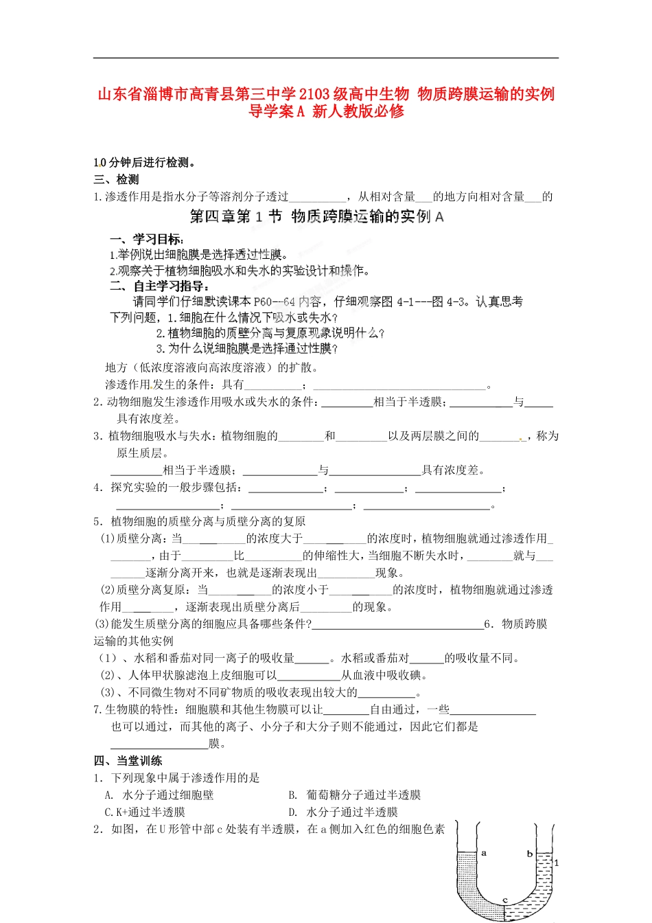 山东省淄博市高青县第三中学2103级高中生物 物质跨膜运输的实例导学案A 新人教版必修1_第1页