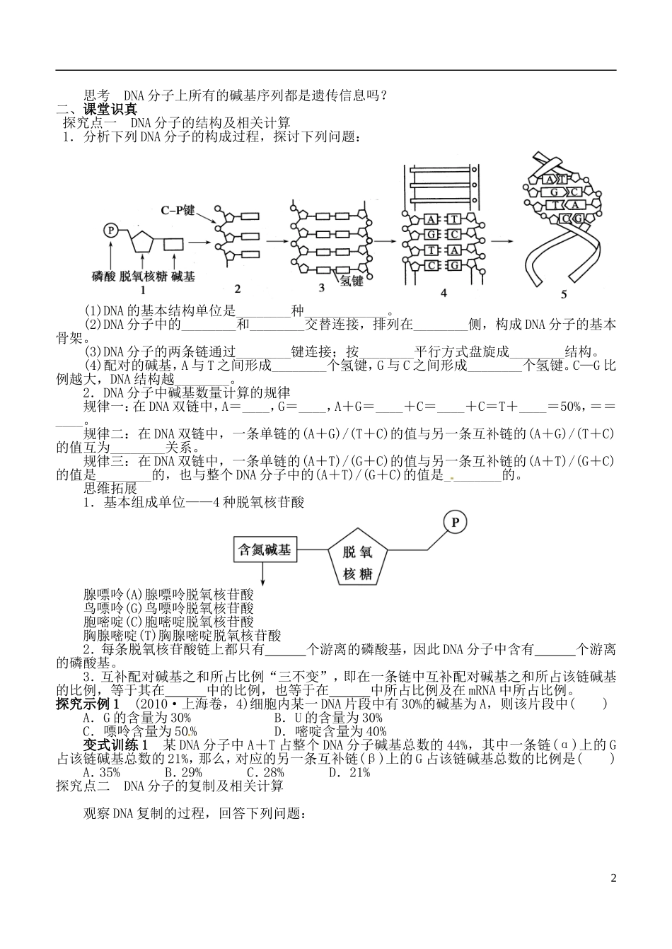 山西省朔州市平鲁区李林中学高中生物《DNA的结构、复制及基因的本质》导学案 苏教版必修2_第2页