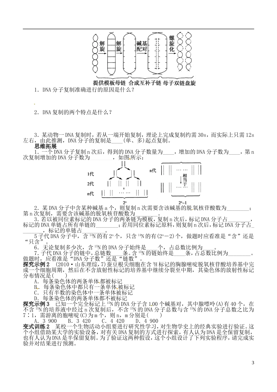 山西省朔州市平鲁区李林中学高中生物《DNA的结构、复制及基因的本质》导学案 苏教版必修2_第3页