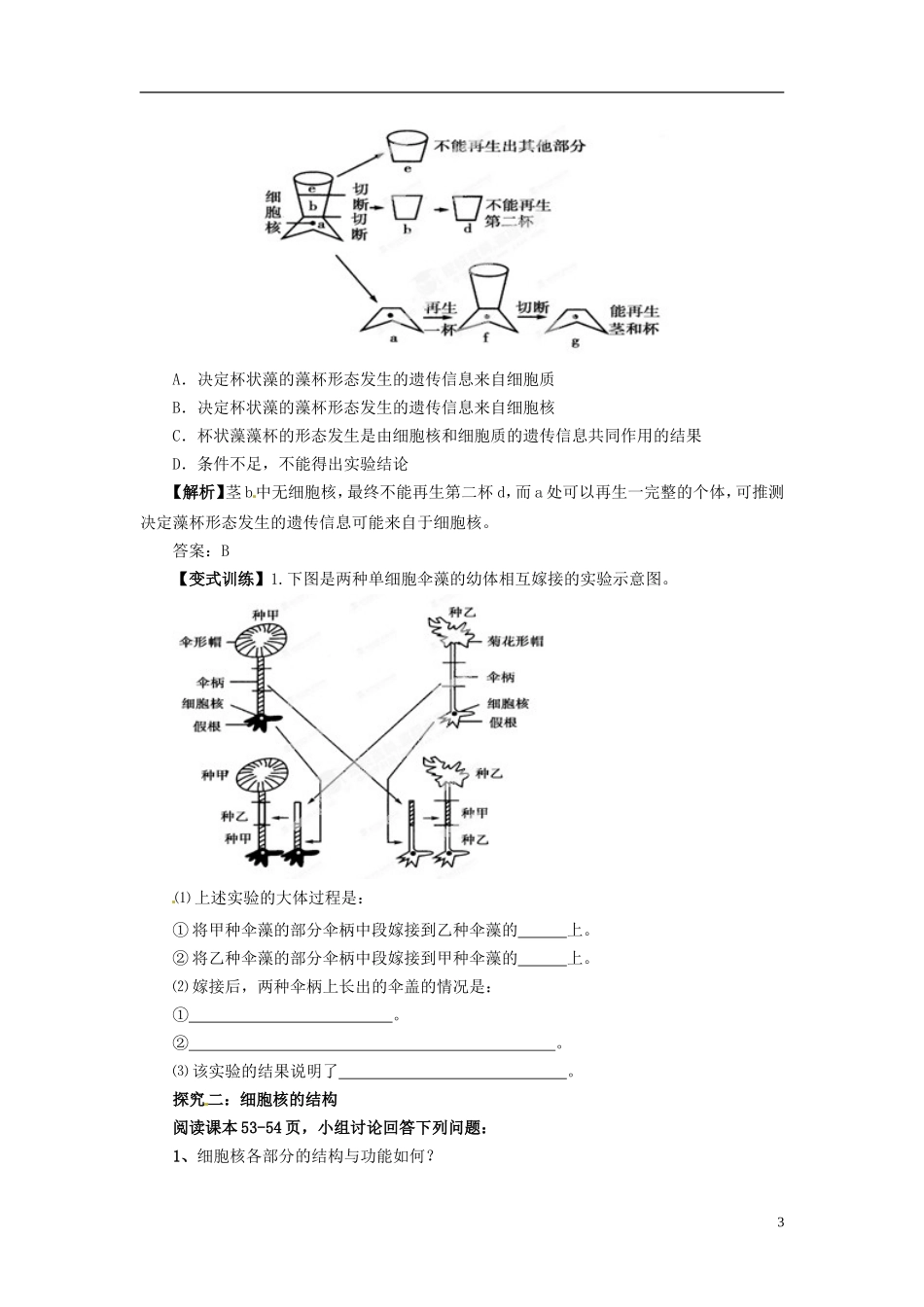 四川省雷波县民族中学高中生物 3.3 细胞核 系统的控制中心学案 新人教版必修1_第3页