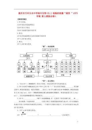 重庆市万州分水中学高中生物《5.2 细胞的能量“通货 ”ATP》学案 新人教版必修1