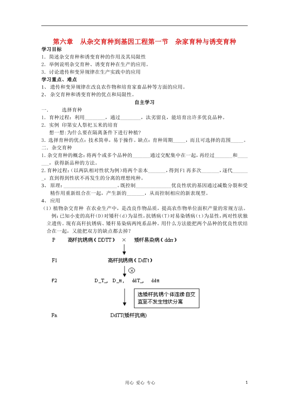 睢县回族高级中学高中生物《遗传与变异》19第六章第1节杂交育种与诱变育种导学案 必修2_第1页