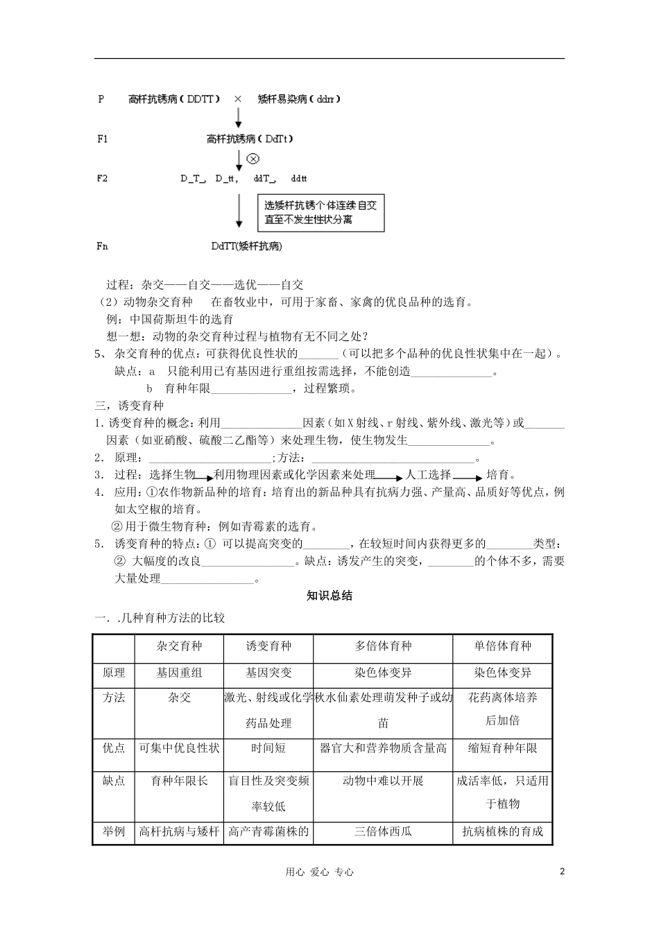 睢县回族高级中学高中生物《遗传与变异》19第六章第1节杂交育种与诱变育种导学案 必修2_第2页