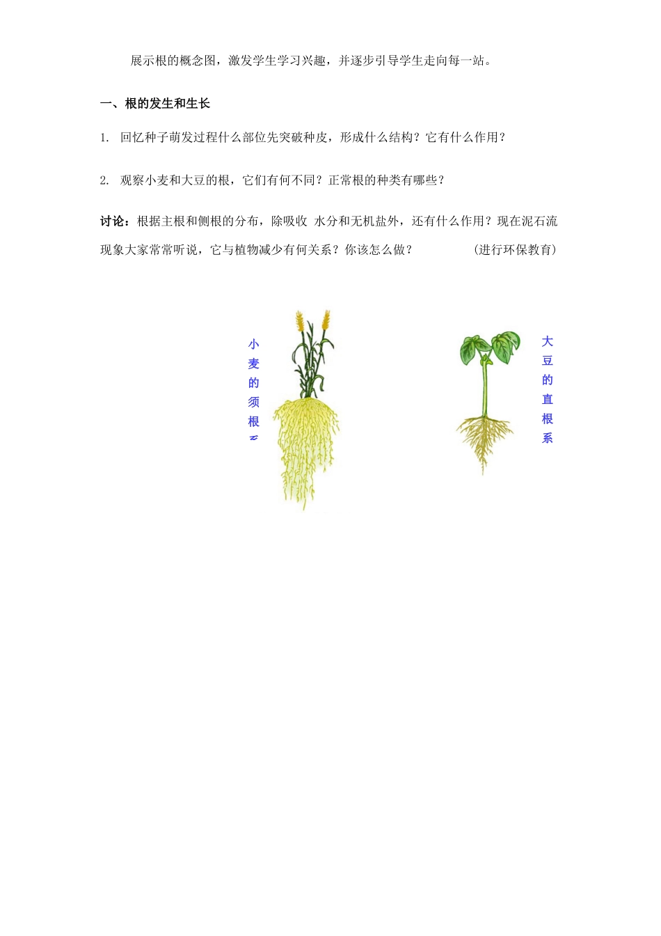 七年级生物 第六章第2节 营养器官的生长教案 北师大版_第3页