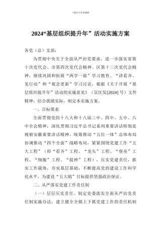 2024“基层组织提升年”活动实施方案