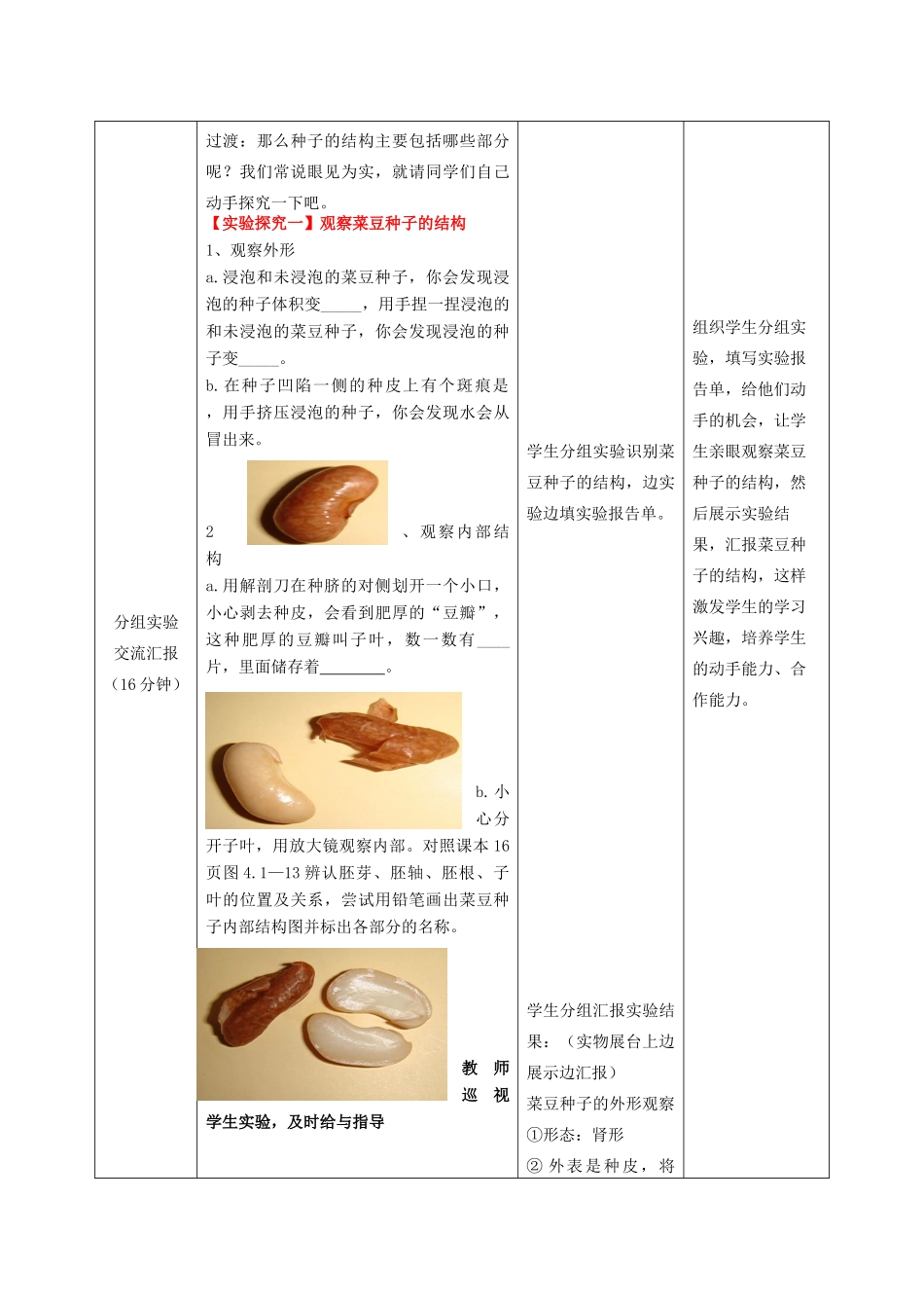 山东省滕州市西岗中学2014-2015八年级生物上册 4.1.3 果实和种子的形成优秀（第2课时）优秀教案 （新版）济南版_第3页