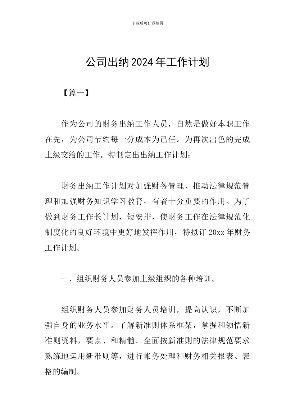 公司出纳2024年工作计划_第1页