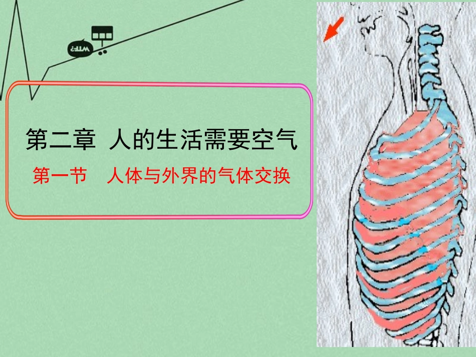 山东滕州市滕洪绪中学2014-2015七年级生物下册 3.2.1 人体与外界的气体交换（第1课时）优秀课件 （新版）济南版_第1页