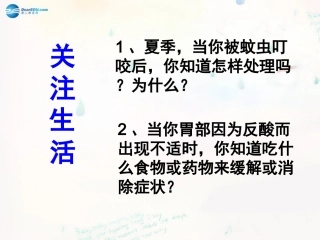 山东泰安新城实验中学九年级化学下册 7.4 酸碱中和反应课件 （新版）鲁教版