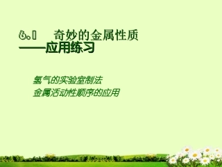 九年级化学下册 6.1《奇妙的金属性质》课件2 粤教版