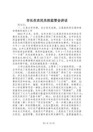 市长在农民负担监管会讲话发言