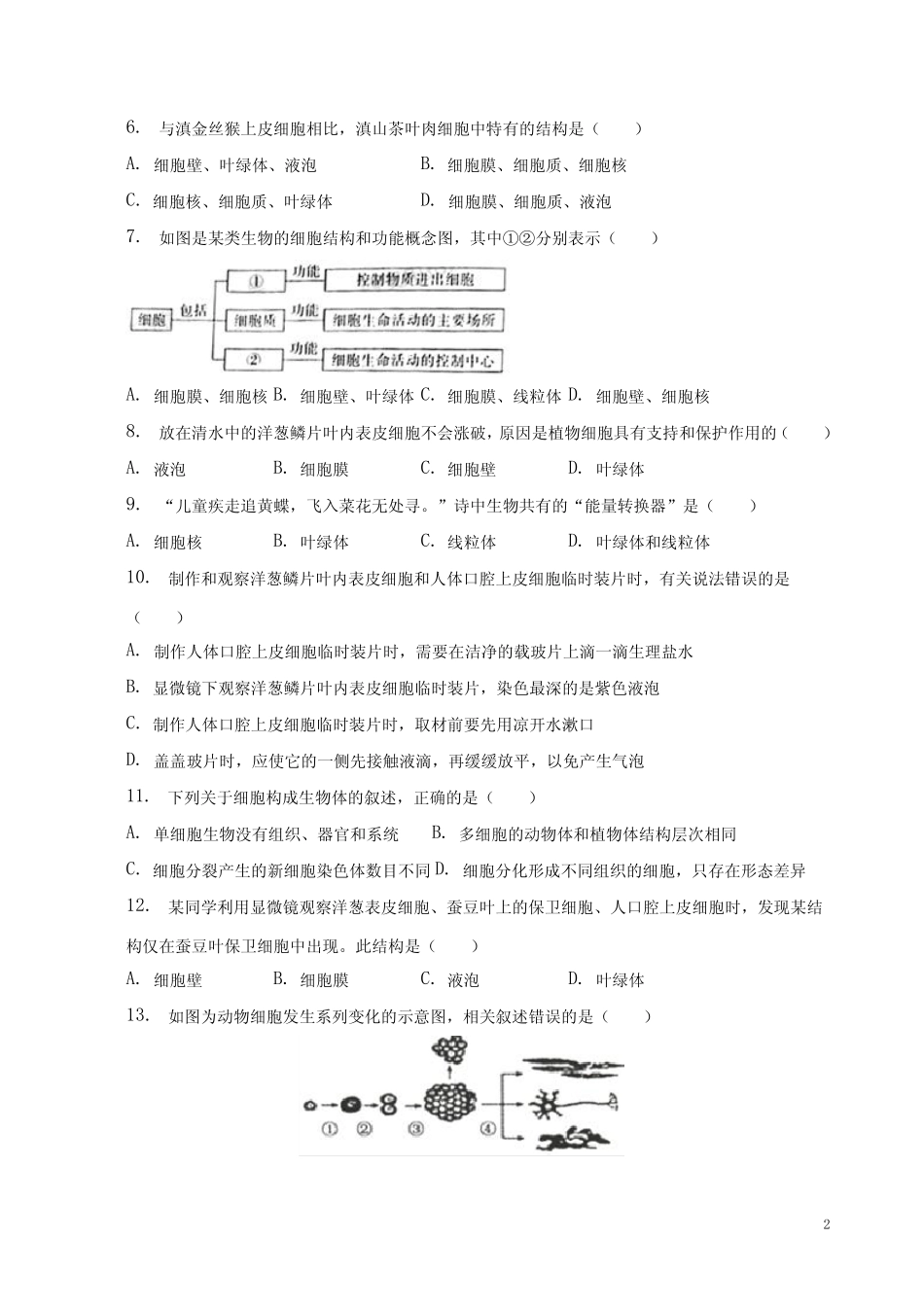 2023-2024学年人教版七年级生物上册第二单元综合试题卷(二)及答案完整版722660079_第2页