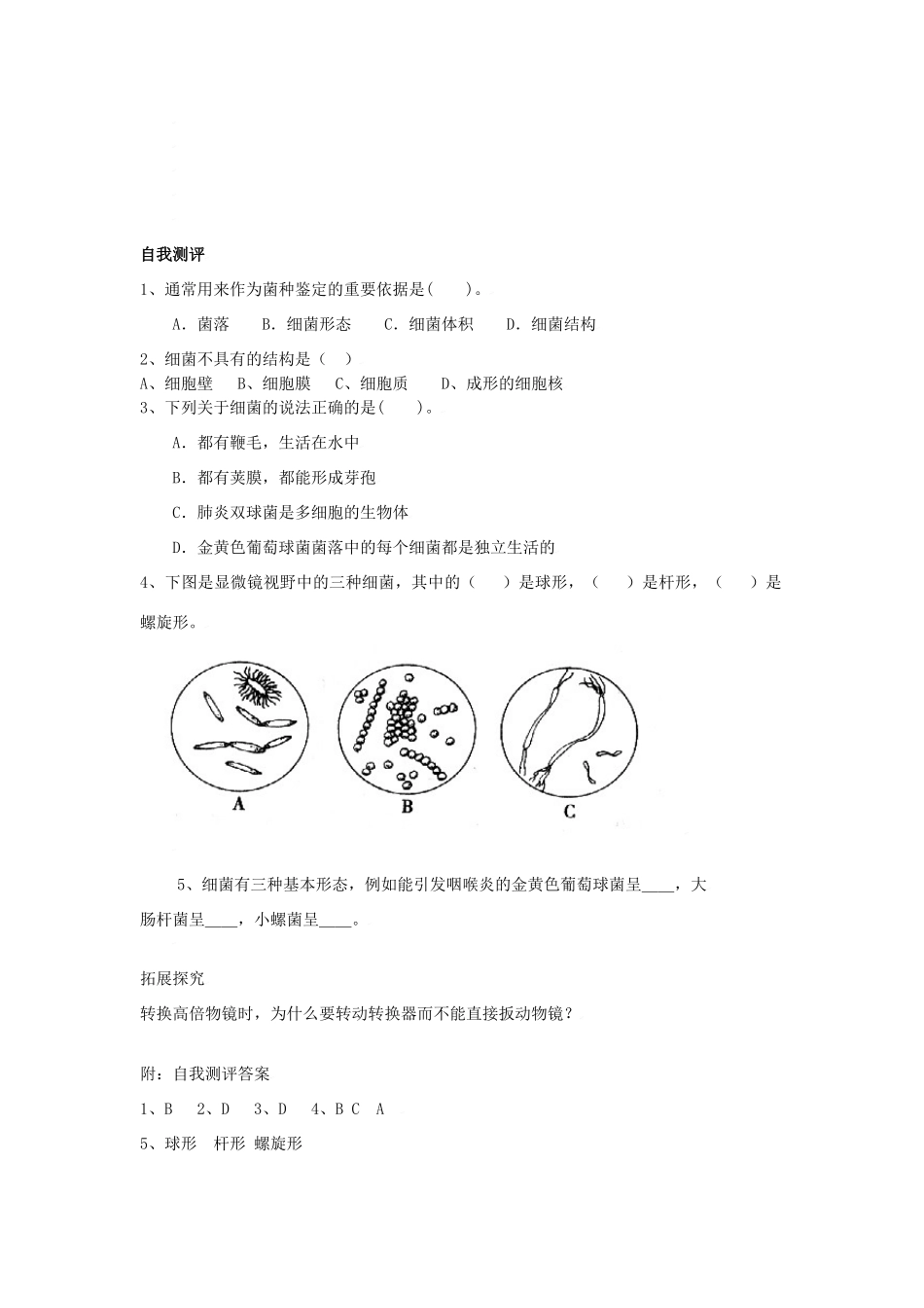 七年级生物第二节 细菌教案济南版_第2页