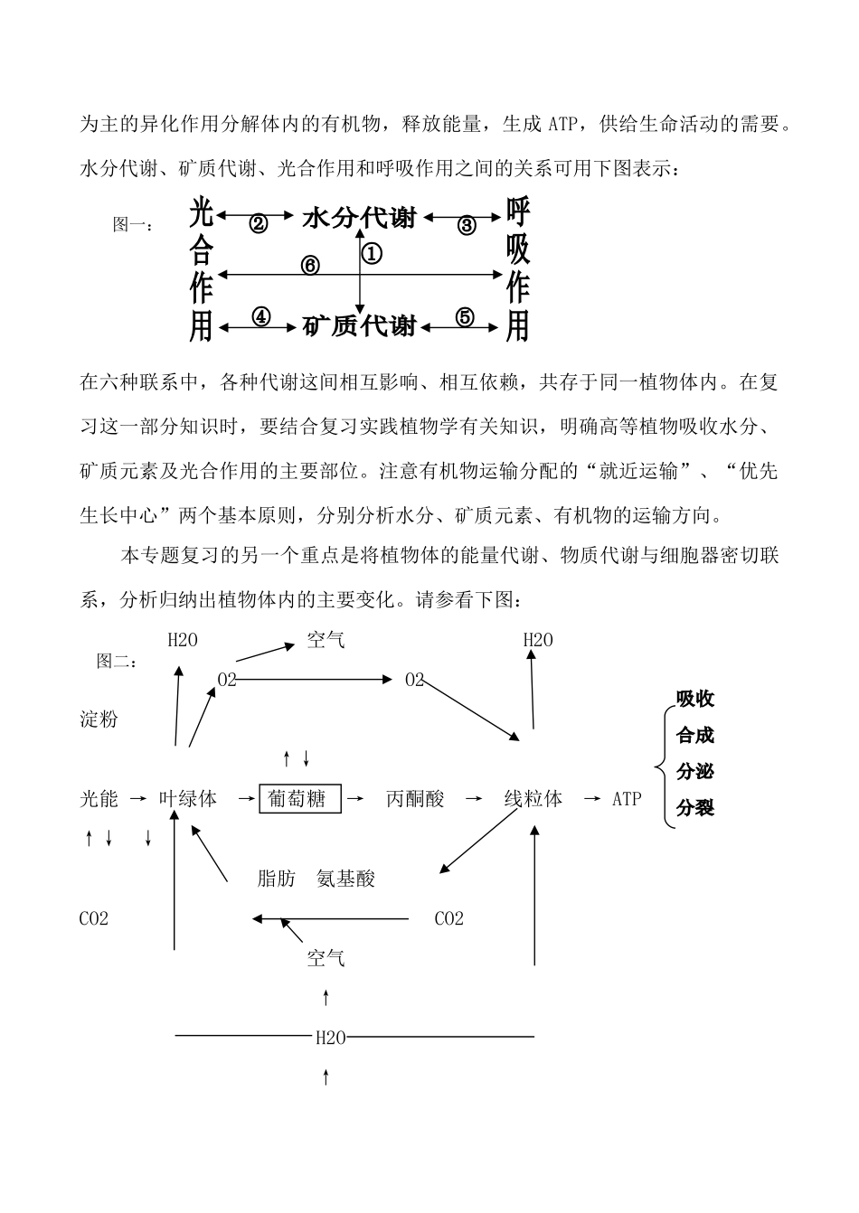 新人教版七年级生物上绿色植物的新陈代谢_第2页