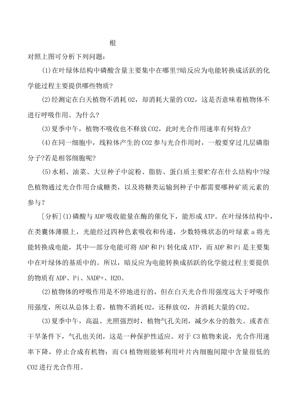 新人教版七年级生物上绿色植物的新陈代谢_第3页