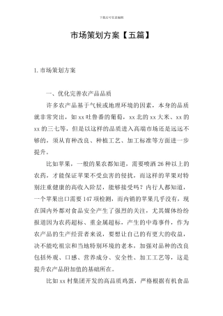 市场策划方案
