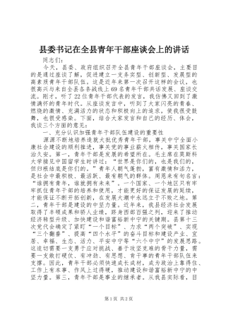 县委书记在全县青年干部座谈会上的讲话发言_1
