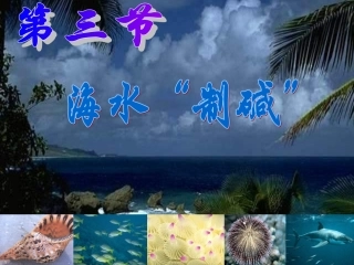 山东省临淄外国语实验学校九年级化学全册《9.3 海水“制碱”》课件 鲁教版五四制