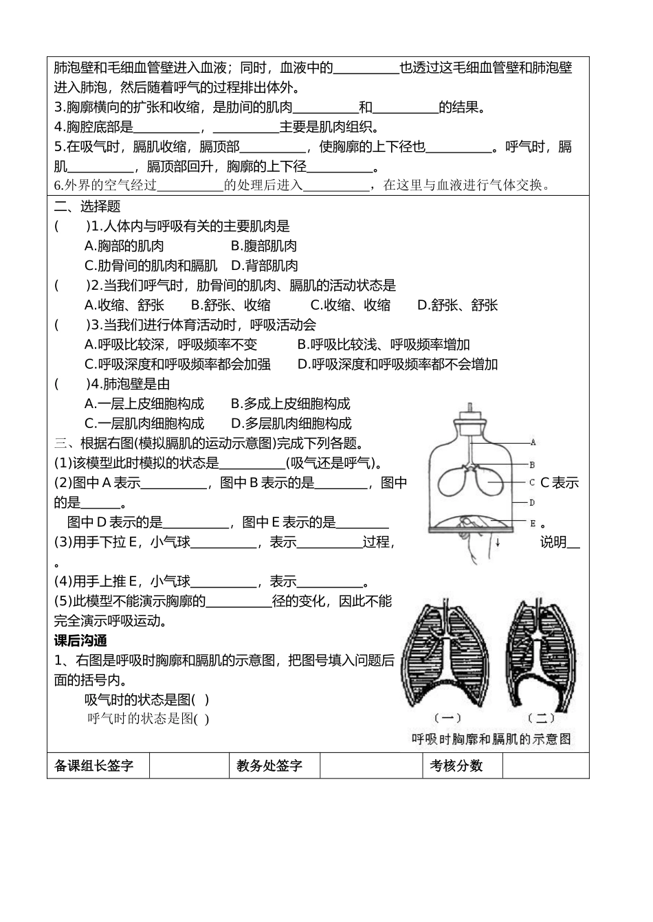 七年级生物下第三章人体的呼吸 第二节发生在肺内的气体交换10人教版_第2页