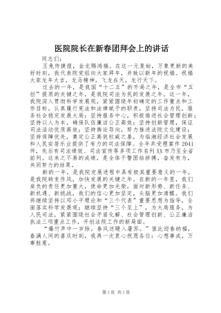 医院院长在新春团拜会上的讲话发言