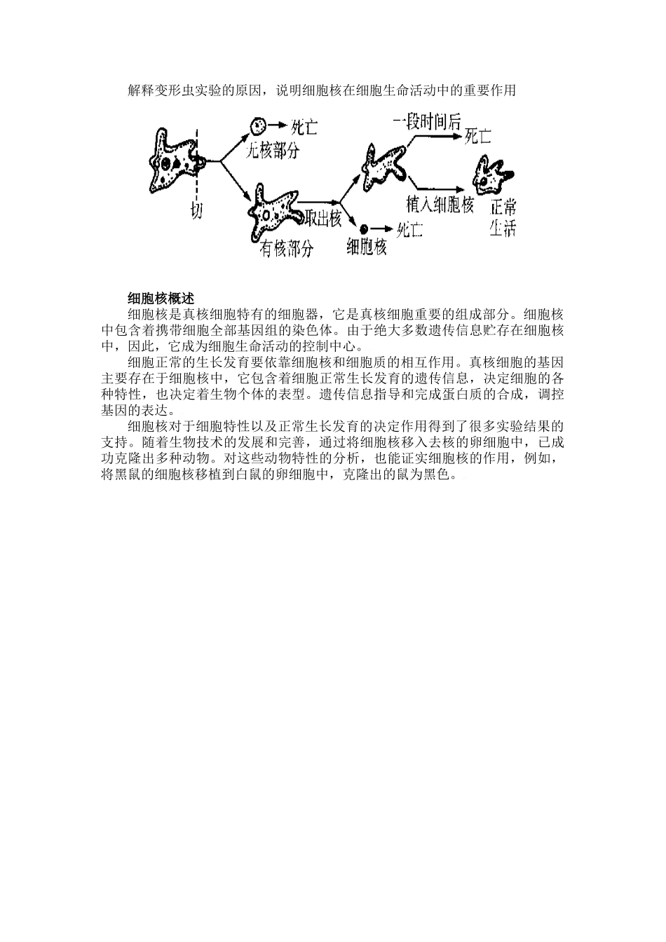 七年级生物：第3章第2节 细胞是生命活动的单位 教案北师大版_第3页