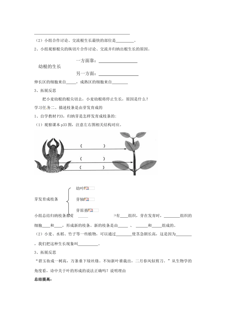 山东省乳山市南黄镇初级中学七年级生物《3.21植株的生长（第一课时）》教案 人教新课标版_第2页