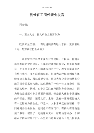 县长在工商代表会发言