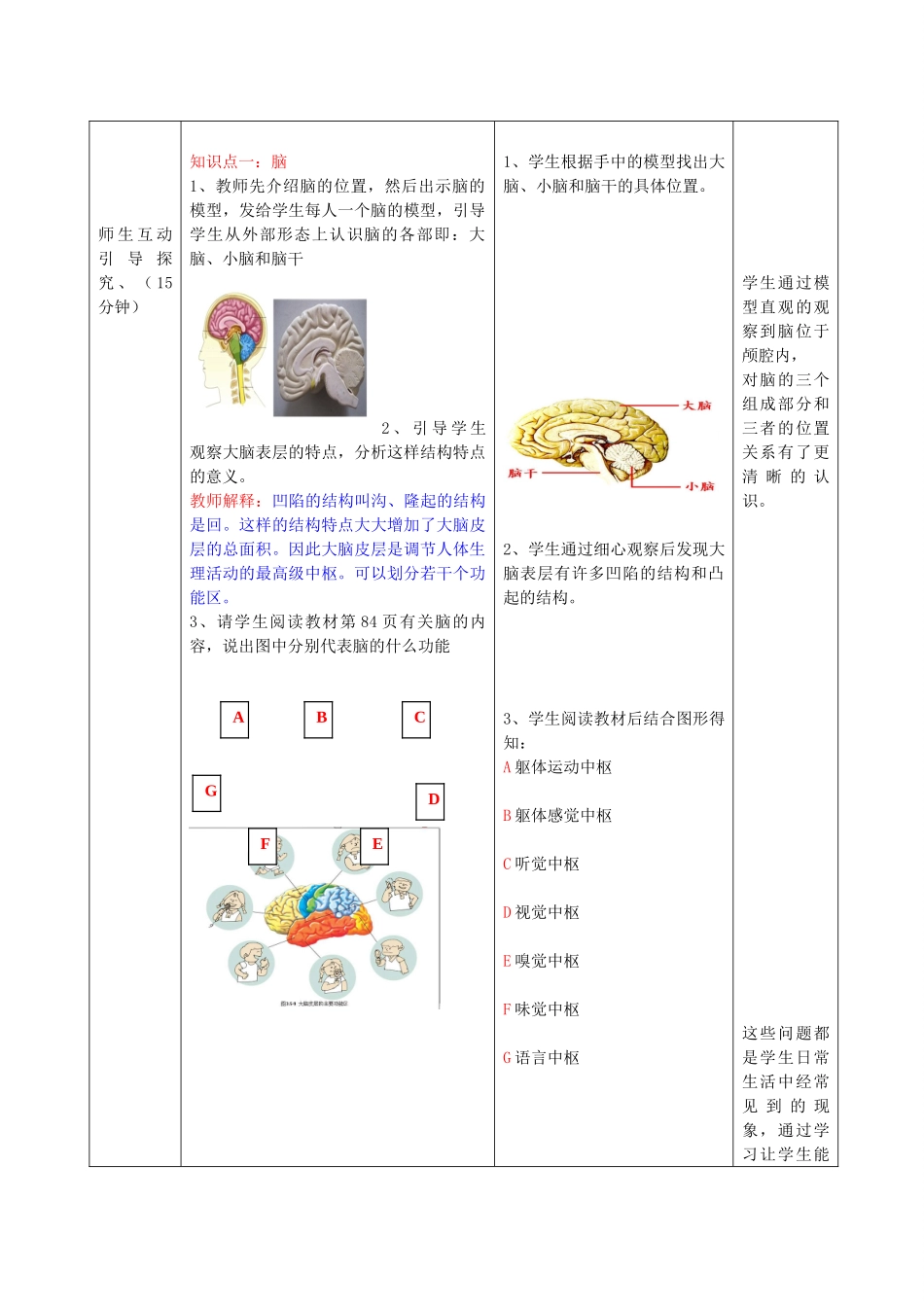 七年级生物下册 第五章 第二节神经调节的结构基础（第3课时）教案（新版）济南版-（新版）济南版初中七年级下册生物教案_第3页