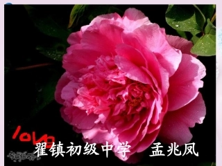 山东泰安新城实验中学九年级化学全册 4.2 物质组成的表示课件2 （新版）鲁教版