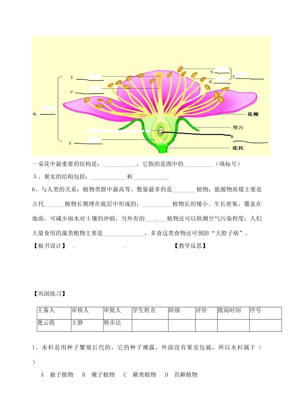江苏省洪泽外国语中学2012-2013学年八年级生物下册 第9、10章《植物类群》教学案 新人教版_第2页