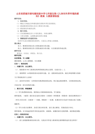 山东省肥城市湖屯镇初级中学七年级生物《人体对外界环境的感知》教案 人教新课标版