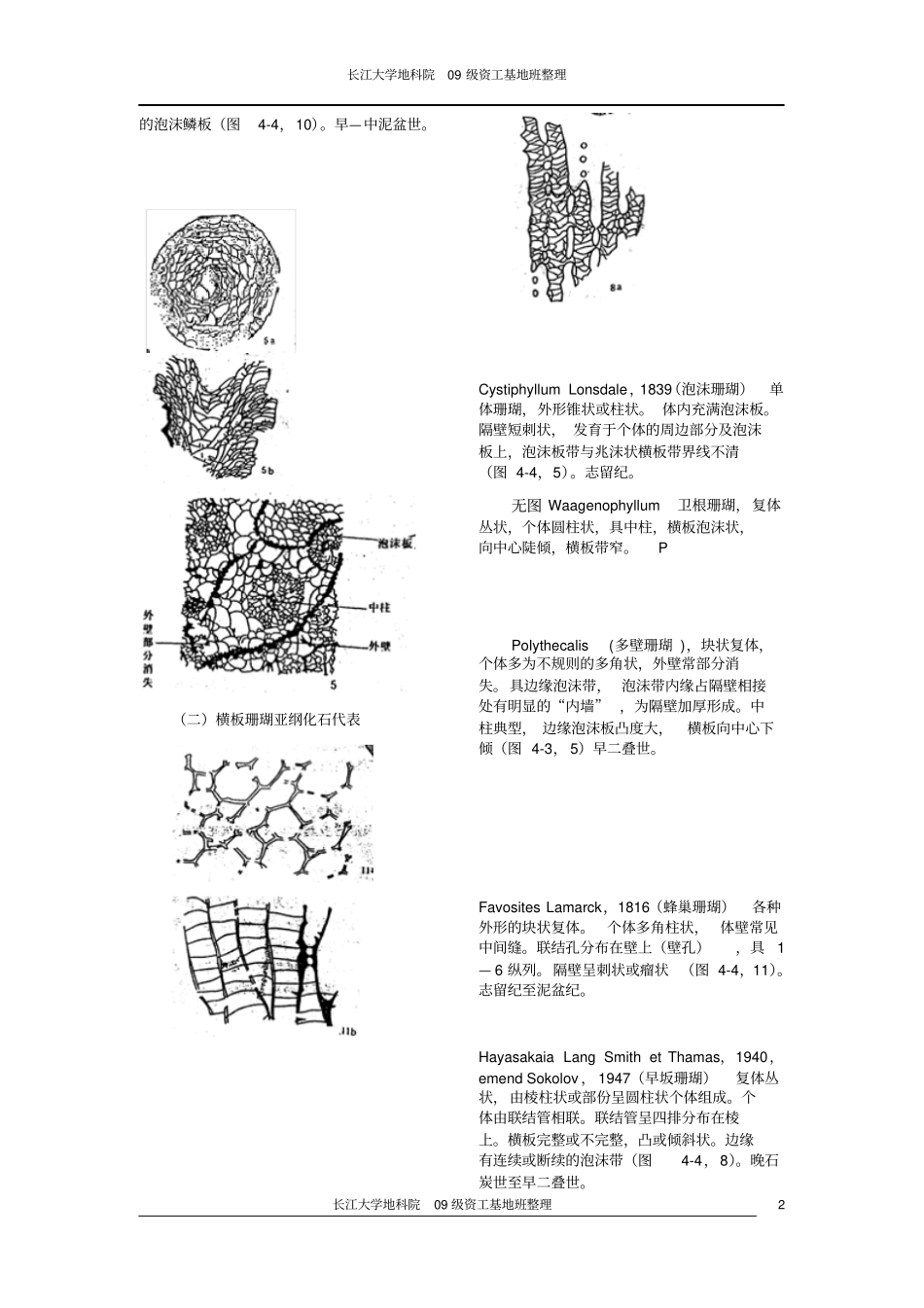 古生物化石鉴定资料_第2页