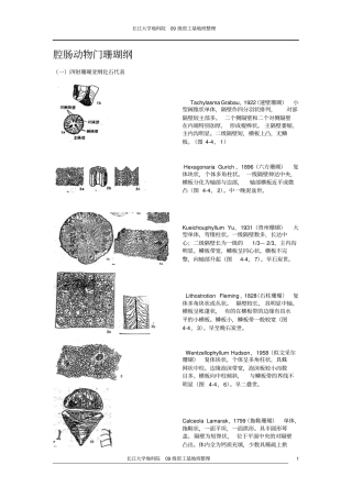 古生物化石鉴定资料