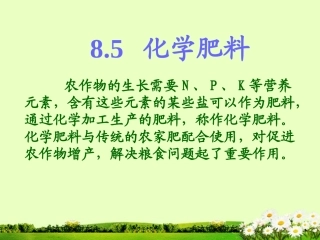 九年级化学下册 8.5 化学肥料课件2 粤教版