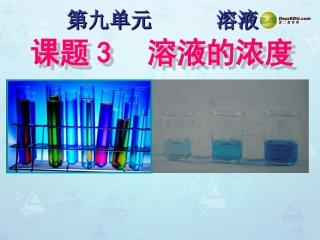九年级化学下册 第九单元 课题3《溶液的浓度》课件 （新版）新人教版