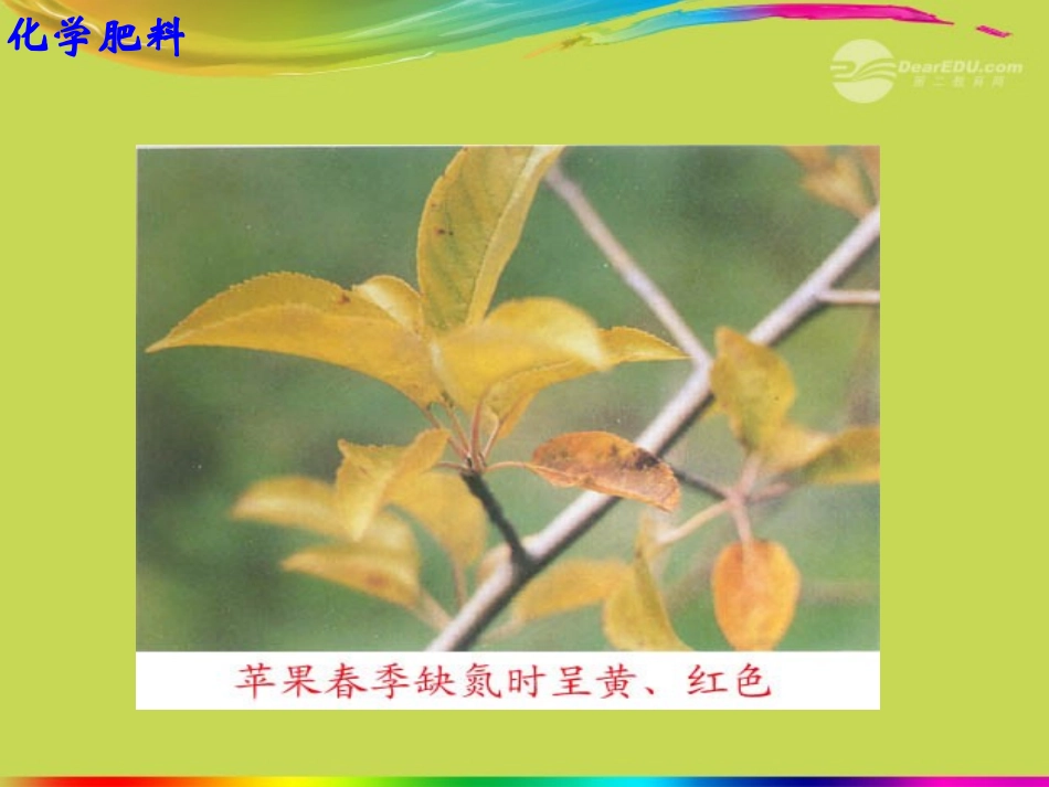 江苏省无锡市滨湖中学九年级化学下册《第十一单元 盐、化肥》课题2 化学肥料课件 新人教版_第3页