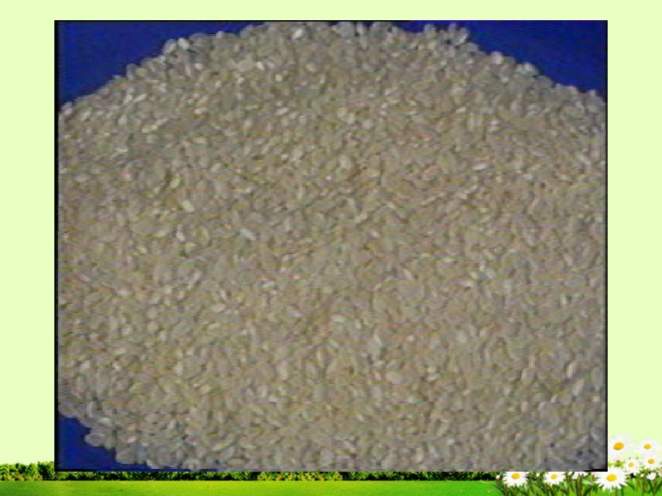 九年级化学下册 10.1 食品中的有机营养素课件1 粤教版_第2页