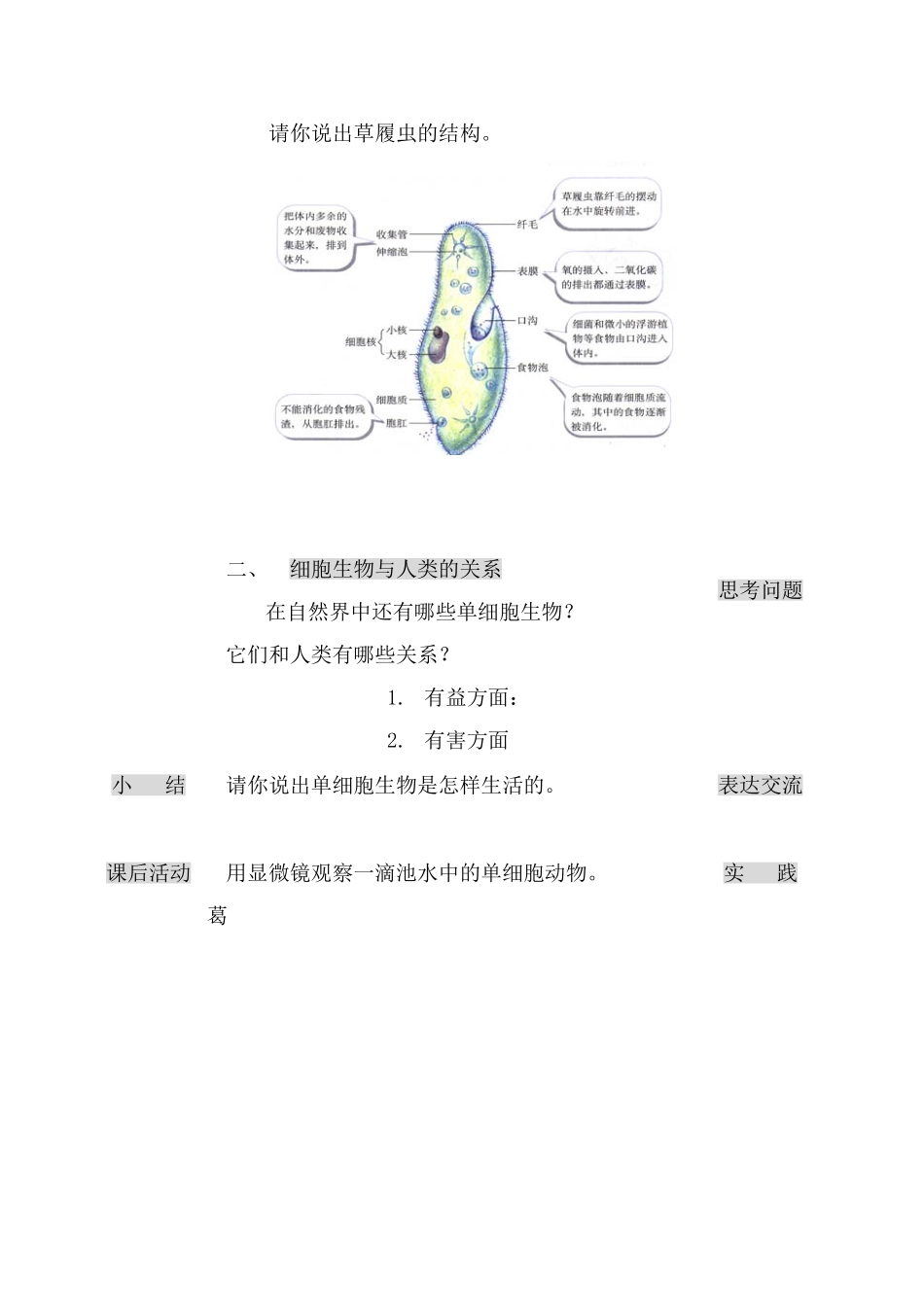 七年级生物只有一个细胞的生物新人教版_第2页