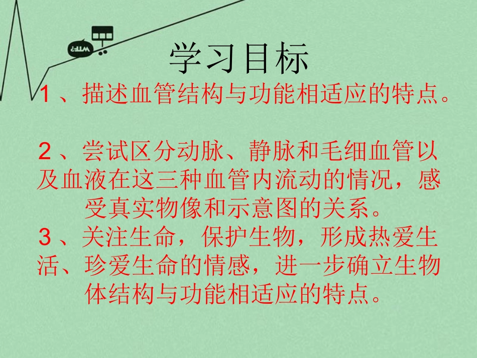 山东省滕州洪绪中学2014-2015七年级生物下册 第三章 第二节 物质运输的器官优秀课件 （新版）济南版_第2页